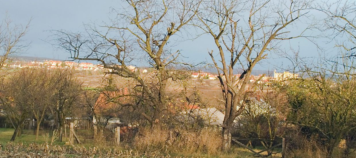 szifák